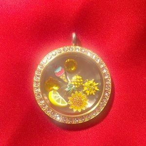 Origami Owl summer living locket set